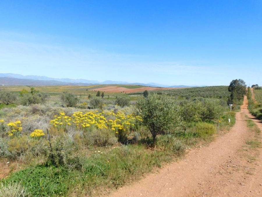 0 Bedroom Property for Sale in Robertson Rural Western Cape
